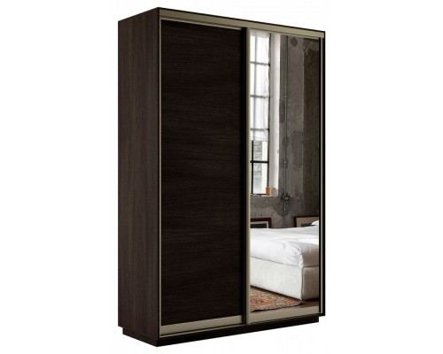 Шкаф-купе Экспресс Медиум дуо