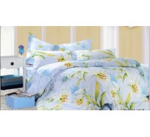 Постельное белье двуспальное П-33