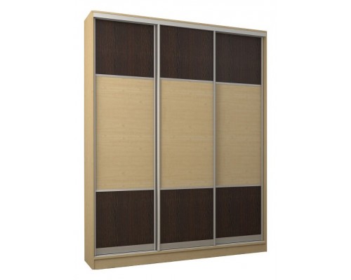 Шкаф-купе Адриано-3.1 1700x496x2500 мм