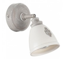 Спот Maytoni Agnes SP289-CW-01-BG