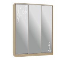 Шкаф-купе Бассо 4-600 птицы