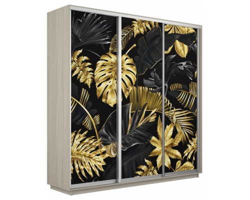 Шкаф-купе Экспресс Фото трио 1003 2400x600x2200