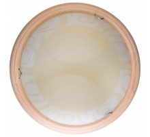 Накладной светильник TopLight Ginger TL9620Y-00PN