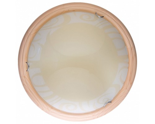 Накладной светильник TopLight Ginger TL9620Y-00PN