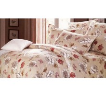 Постельное белье евростандарт A-159