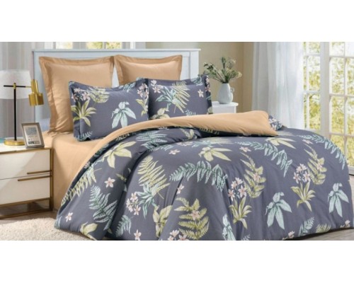 Постельное белье евростандарт CL-382