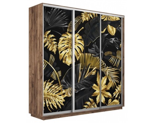 Шкаф-купе Экспресс Фото трио 1003 1800x600x2400