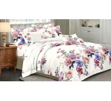 Постельное белье семейное Art Color 074-AC