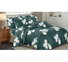 Постельное белье полутораспальное Art Color 076-AC