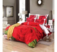 Постельное белье евростандарт Роза