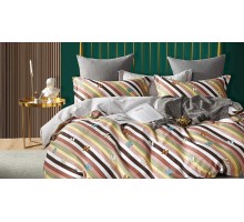 Постельное белье евростандарт Satin de Luxe 787-SK