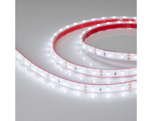 Лента светодиодная Arlight  013529(1)