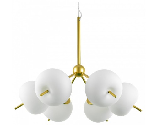 Подвесная люстра Favourite Bacca 2643-6P