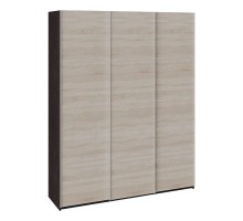 Шкаф-купе Траст СШК 2.180.60-11.11.11