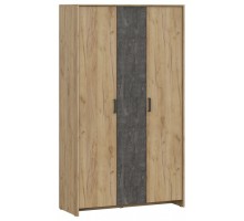 Шкаф платяной МСП 1