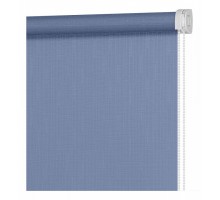 Штора рулонная (50x160 см) Апилера