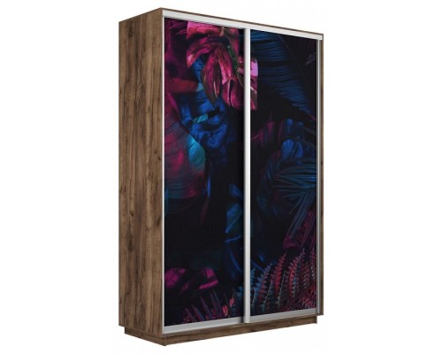 Шкаф-купе Экспресс Фото дуо 1004 1200x600x2200