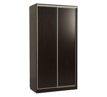 Шкаф-купе Рио 5-600