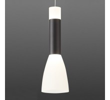 Подвесной светильник ST-Luce Agioni 