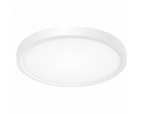 Накладной светильник Citilux Бейсик