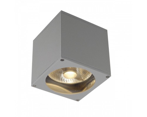 Накладной светильник SLV Big Theo 229564