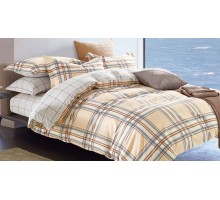 Постельное белье евростандарт CL-244