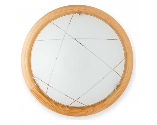 Накладной светильник TopLight Karen TL9013Y-02PN