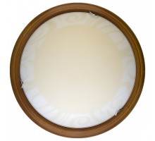 Накладной светильник TopLight Ginger TL9620Y-00OA