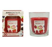 Свеча ароматическая (9.2 см) Красные фрукты VV001RRAA