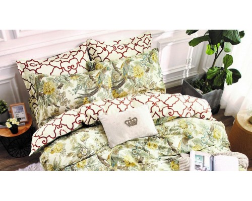 Постельное белье евростандарт C-302