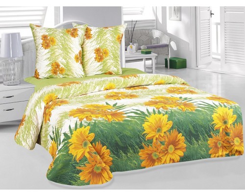 Постельное белье двуспальное Герберы