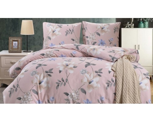 Постельное белье евростандарт CL-403