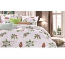 Постельное белье евростандарт CL-182