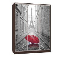 Шкаф-купе Бассо 7-600 08