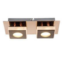 Накладной светильник Globo Cayman I 49403-2