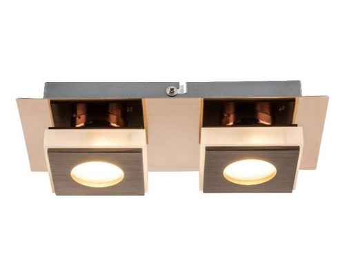 Накладной светильник Globo Cayman I 49403-2