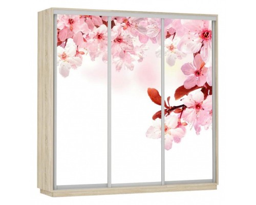 Шкаф-купе Экспресс Фото Трио Сакура 2400x600x2400