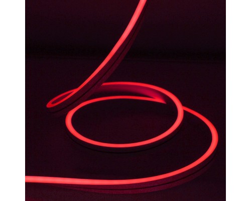 Шнур световой (50 м) RL-FX816-120-220V-P/P