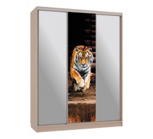 Шкаф-купе Бассо 9-600 87