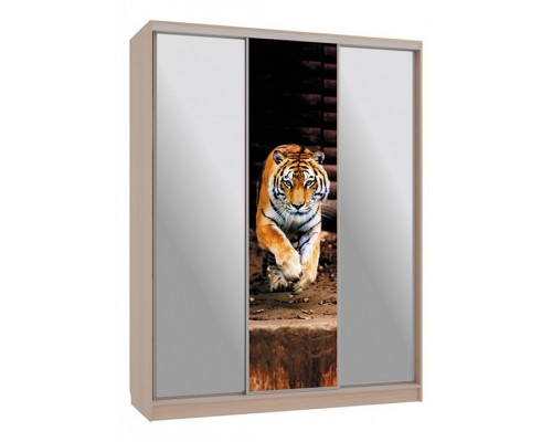 Шкаф-купе Бассо 9-600 87