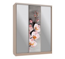 Шкаф-купе Бассо 9-600 78