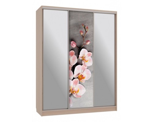 Шкаф-купе Бассо 9-600 78