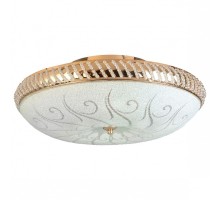 Светильник на штанге TopLight Davina TL1482Y-05GC