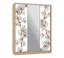 Шкаф-купе Бассо 10-600 83