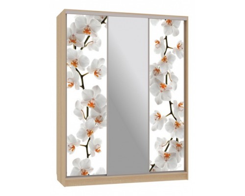 Шкаф-купе Бассо 10-600 83