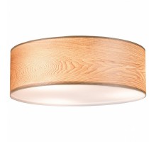 Накладной светильник Paulmann allCeiling 79650