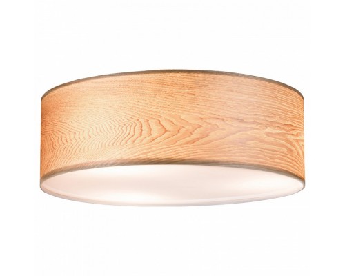 Накладной светильник Paulmann allCeiling 79650