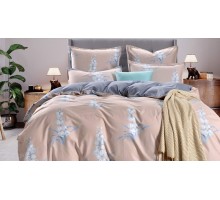 Постельное белье евростандарт Лана