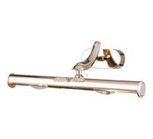 Подсветка для картины Maytoni Raphael PIC113-02-G