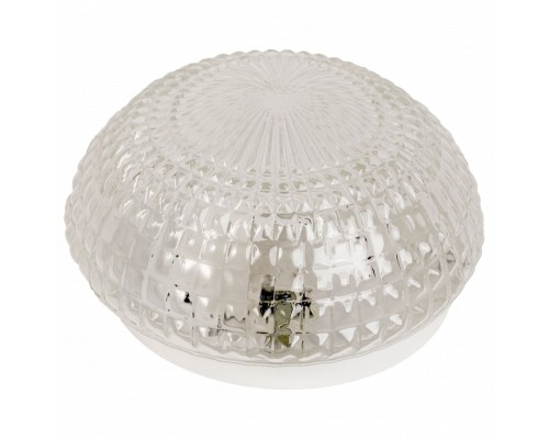Накладной светильник Arte Lamp Crystal A3821PL-1SS